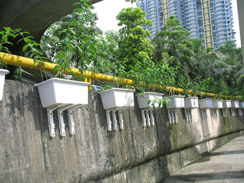 市政5.jpg